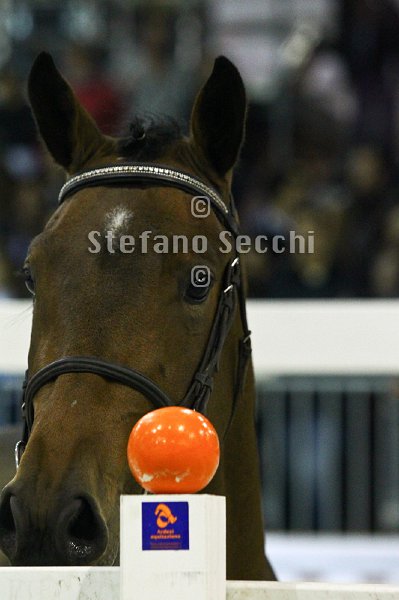 HEY DAY HOPPER_MILANO_2010_SS3_1466.jpg